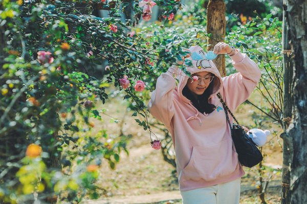 Les Enseignements Profonds et Inspirants des Mangas : Un Voyage à Travers la Sagesse Japonaise